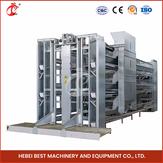 Bestchickencage Tipo ordinario Gabbia a strati Produttore di pollai isolati per polli in Cina Alto